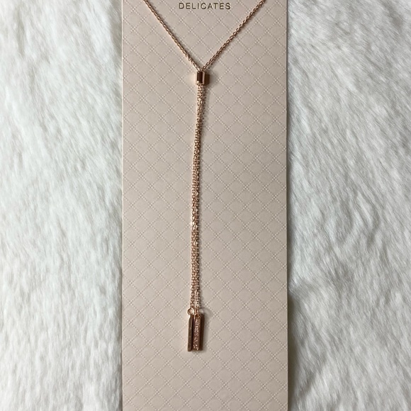 delicates Jewelry - Delicate Rose Gold Slider Y-Necklace
